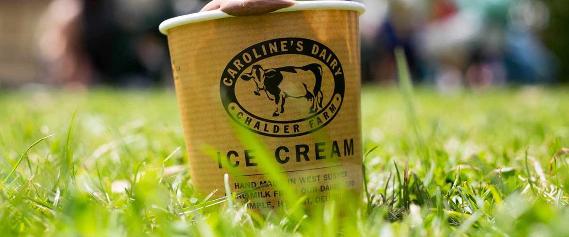 Carolines-Dairy-Ice-Cream-in-the-Sunshine-Vicky-Davis